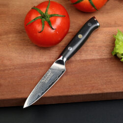 Professional Japanese Damascus Steel Kitchen Paring Knife
